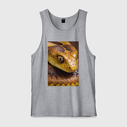 Майка мужская хлопок Песчаная змея, цвет: меланж