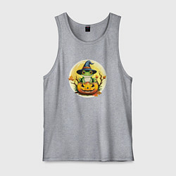 Майка мужская хлопок Лягушка ведьма на тыкве, цвет: меланж