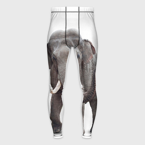 Мужские тайтсы Большой слон / 3D-принт – фото 1