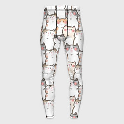 Мужские тайтсы Кошки котики коты