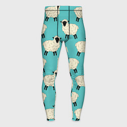 Мужские тайтсы Овечки паттерн на бирюзовом