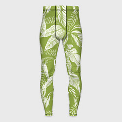 Тайтсы мужские Зелёные Тропики Лета, цвет: 3D-принт
