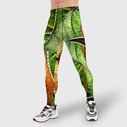 Тайтсы мужские Растительный абстрактный фрактальный паттерн Veget, цвет: 3D-принт — фото 2