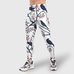 Тайтсы мужские Вороны на ветках, цвет: 3D-принт — фото 2