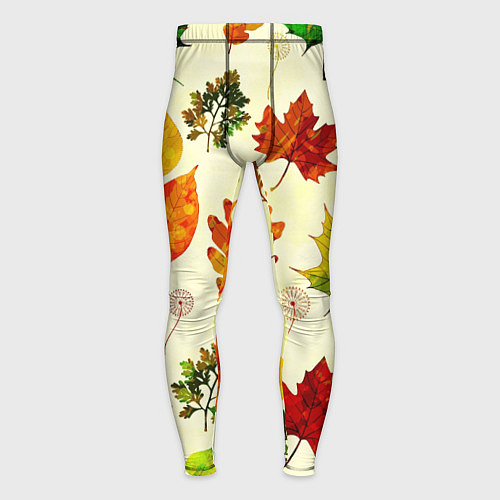 Мужские тайтсы Осень / 3D-принт – фото 1