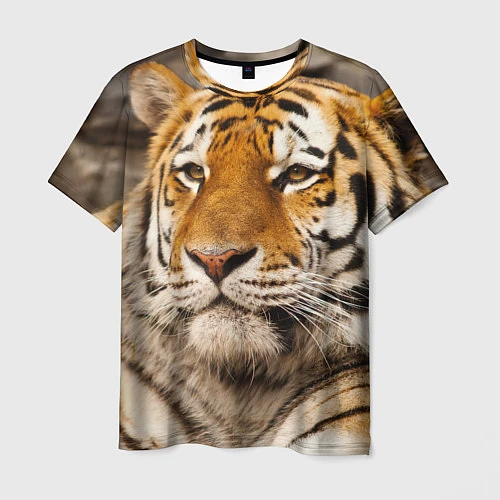Мужская футболка Мудрый тигр / 3D-принт – фото 1