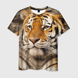 Футболка мужская Мудрый тигр, цвет: 3D-принт