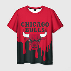 Мужская футболка Chicago Bulls