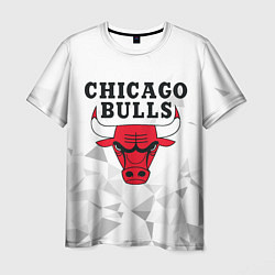 Мужская футболка CHICAGO BULLS