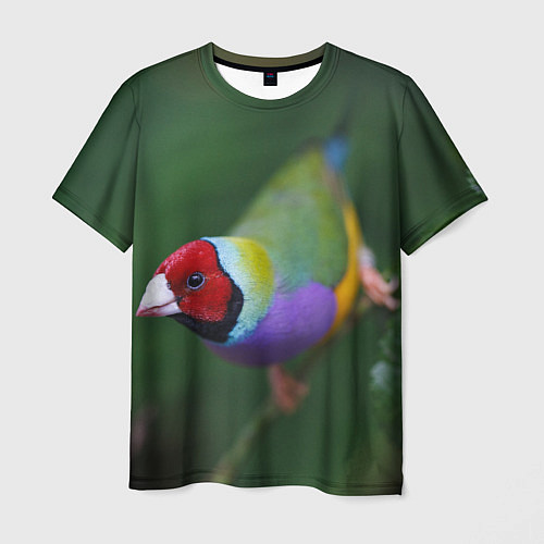 Мужская футболка Яркая птичка попугай / 3D-принт – фото 1