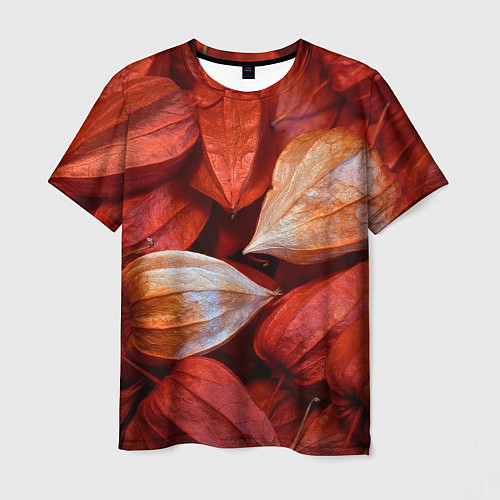 Мужская футболка Прекрасный красный физалис / 3D-принт – фото 1