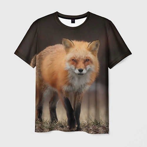 Мужская футболка Хитрая лисица / 3D-принт – фото 1
