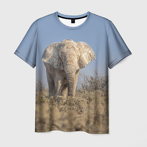 Мужская футболка Африканский белый слон / 3D-принт – фото 1