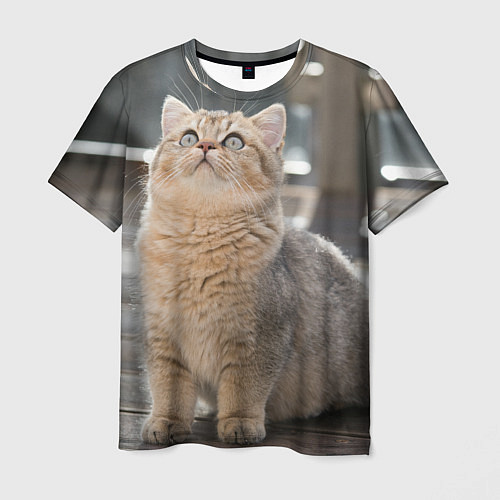 Мужская футболка Британская короткошёрстная кошка смотрит вверх / 3D-принт – фото 1