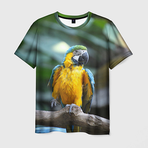 Мужская футболка Красавец попугай / 3D-принт – фото 1