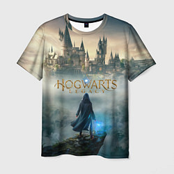 Футболка мужская Герой Hogwarts legacy, цвет: 3D-принт