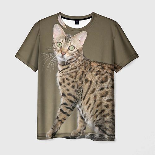 Мужская футболка Пятнистый котик / 3D-принт – фото 1