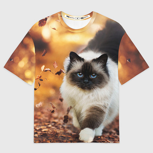 Мужская футболка оверсайз Котик в листьях / 3D-принт – фото 1