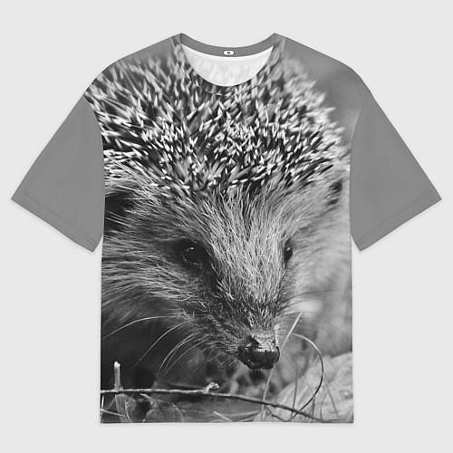 Мужская футболка оверсайз Взгляд ёжика / 3D-принт – фото 1