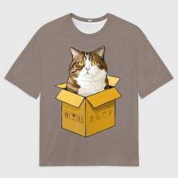 Мужская футболка оверсайз Котик в коробке