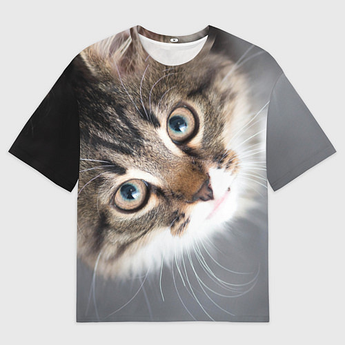 Мужская футболка оверсайз Кошачий взгляд / 3D-принт – фото 1