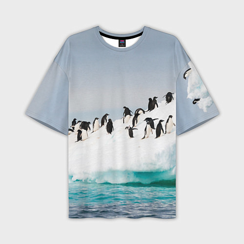 Мужская футболка оверсайз Пингвины на айсберге / 3D-принт – фото 1
