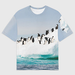 Футболка оверсайз мужская Пингвины на айсберге, цвет: 3D-принт