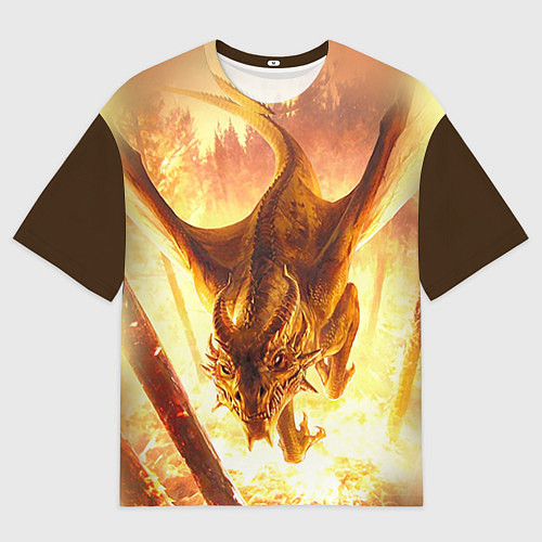 Мужская футболка оверсайз Дракон / 3D-принт – фото 1
