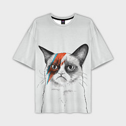 Футболка оверсайз мужская David Bowie: Grumpy cat, цвет: 3D-принт