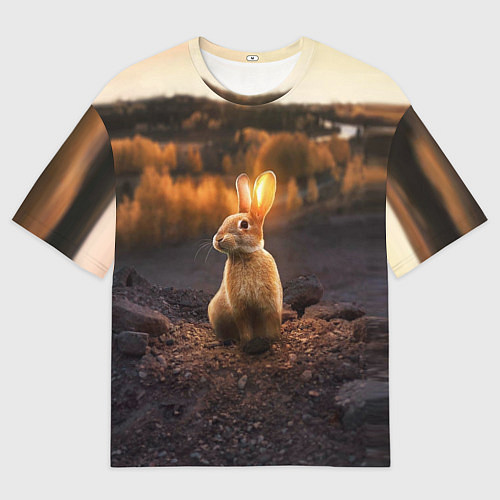 Мужская футболка оверсайз Солнечный зайчик / 3D-принт – фото 1