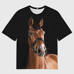 Мужская футболка оверсайз Гнедой жеребец