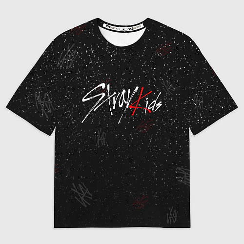 Мужская футболка оверсайз STRAY KIDS / 3D-принт – фото 1