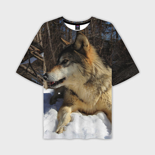 Мужская футболка оверсайз Волк лежит на снегу / 3D-принт – фото 1