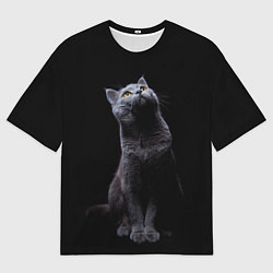 Футболка оверсайз мужская Кот Британец, цвет: 3D-принт