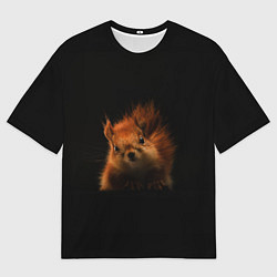 Футболка оверсайз мужская Белка, цвет: 3D-принт