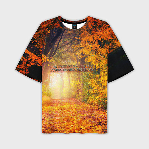 Мужская футболка оверсайз Что такое осень - это небо / 3D-принт – фото 1