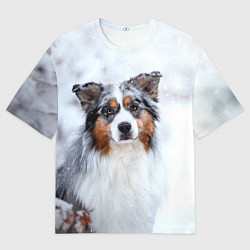 Мужская футболка оверсайз Австралийская овчарка