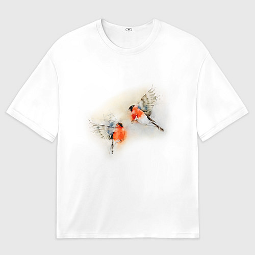 Мужская футболка оверсайз Снегири / 3D-принт – фото 1