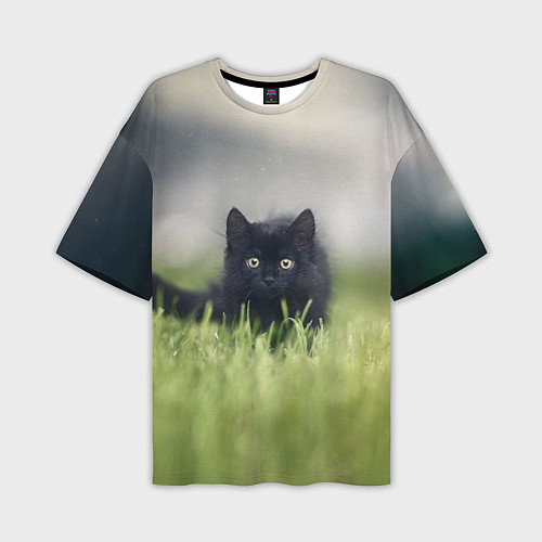 Мужская футболка оверсайз Черный кот на лугу / 3D-принт – фото 1