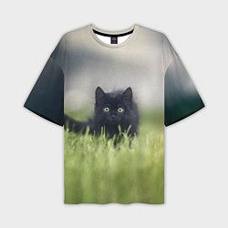 Мужская футболка оверсайз Черный кот на лугу