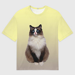Мужская футболка оверсайз Персидская пушистая кошка