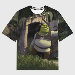 Мужская футболка оверсайз Shrek: Somebody Once Told Me