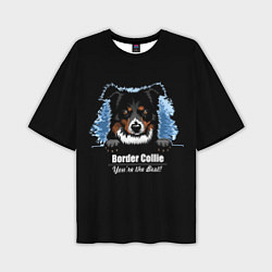 Футболка оверсайз мужская Бордер-Колли Border-Collie, цвет: 3D-принт