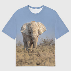 Футболка оверсайз мужская Африканский белый слон, цвет: 3D-принт
