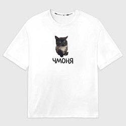 Футболка оверсайз мужская Кот чмоня, цвет: 3D-принт