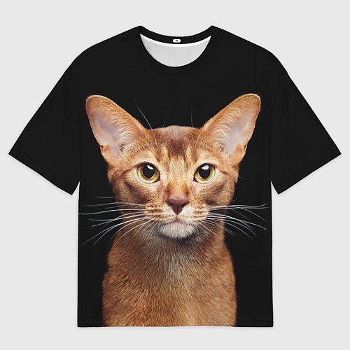 Мужская футболка оверсайз Молодая абиссинская кошечка / 3D-принт – фото 1