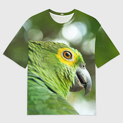 Футболка оверсайз мужская Попугaй, цвет: 3D-принт