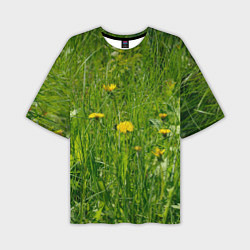 Футболка оверсайз мужская Солнечные одуванчики, цвет: 3D-принт