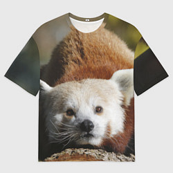Футболка оверсайз мужская Красная панда ждёт, цвет: 3D-принт