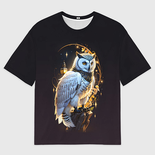 Мужская футболка оверсайз Снежная сова / 3D-принт – фото 1